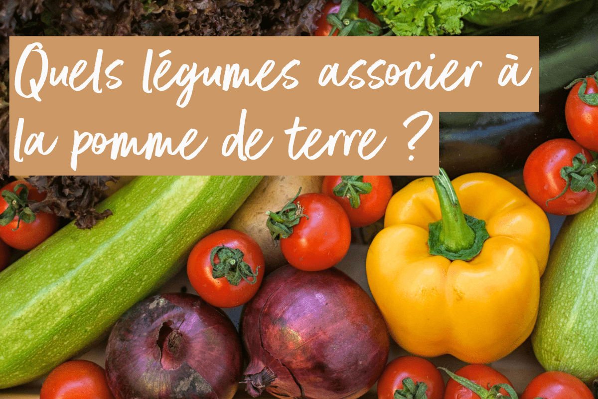 legumes-associer-a-la-pomme-de-terre